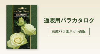 通信販売用バラカタログ