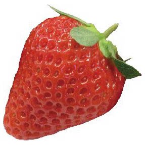 ベリーポップ すず