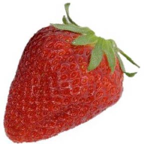 ベリーポップ はるひ