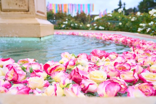 フローティングフラワー