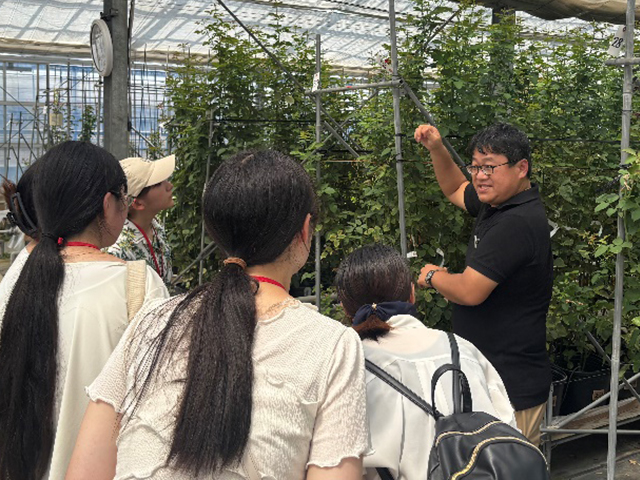 見学ツアーの様子