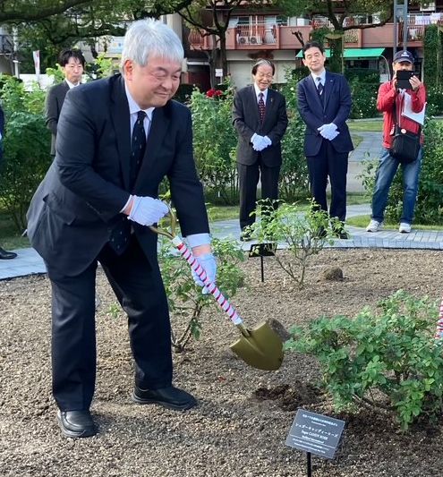 福山市「バラ公園」に植樹される“シュガー キャンディー ローズ”