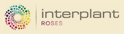 インタープランツ