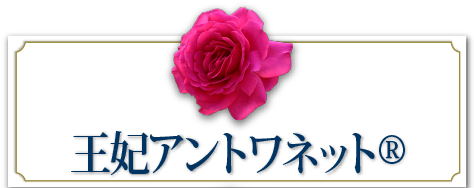 王妃アントワネット&reg;
