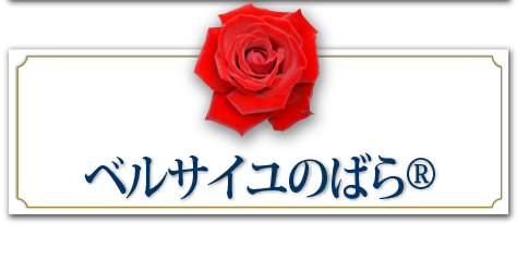 ベルサイユのばら&reg;