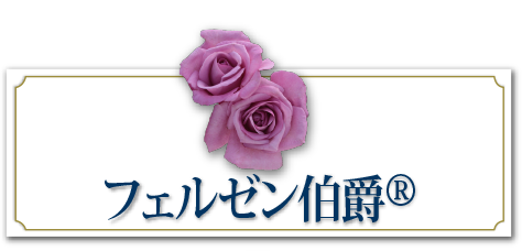 フェルゼン伯爵&reg;