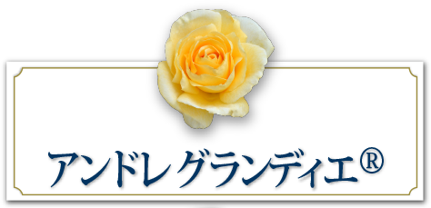 アンドレ グランディエ&reg;
