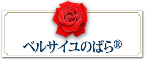 ベルサイユのばら&reg;