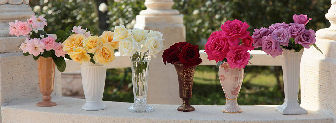 （左より）ロザリー ラ モリエール&reg;、アンドレ、グランディエ&reg;、オスカル フランソワ&reg;、ベルサイユのばら&reg;、王妃アントワネット&reg;、フェルゼン伯爵&reg;