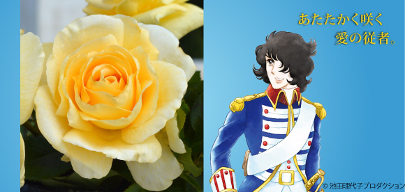 アンドレ グランディエ&reg;