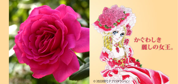 王妃アントワネット&reg;