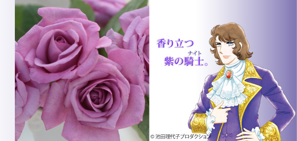 フェルゼン伯爵&reg;