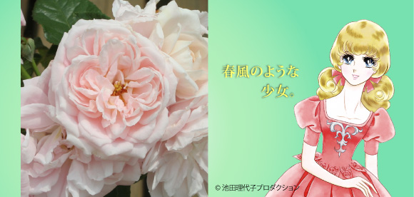 ロザリー ラ モリエール&reg;