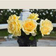 アンドレ グランディエ&reg;