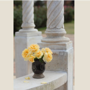 アンドレ グランディエ&reg;