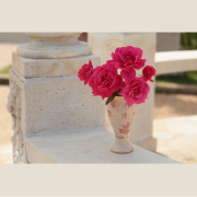 王妃アントワネット&reg;