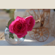 王妃アントワネット&reg;