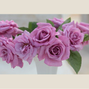 フェルゼン伯爵&reg;