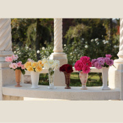 ベルサイユのばら&reg; シリーズ全6品種