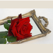 ベルサイユのばら&reg;