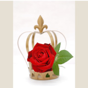 ベルサイユのばら&reg;