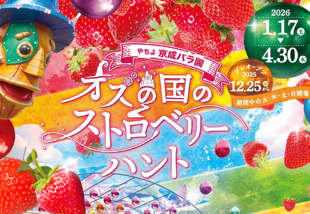 オズの国のストロベリーハント