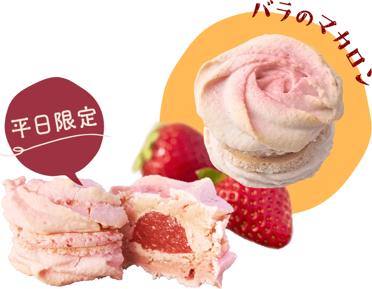 マカロン・ローズ