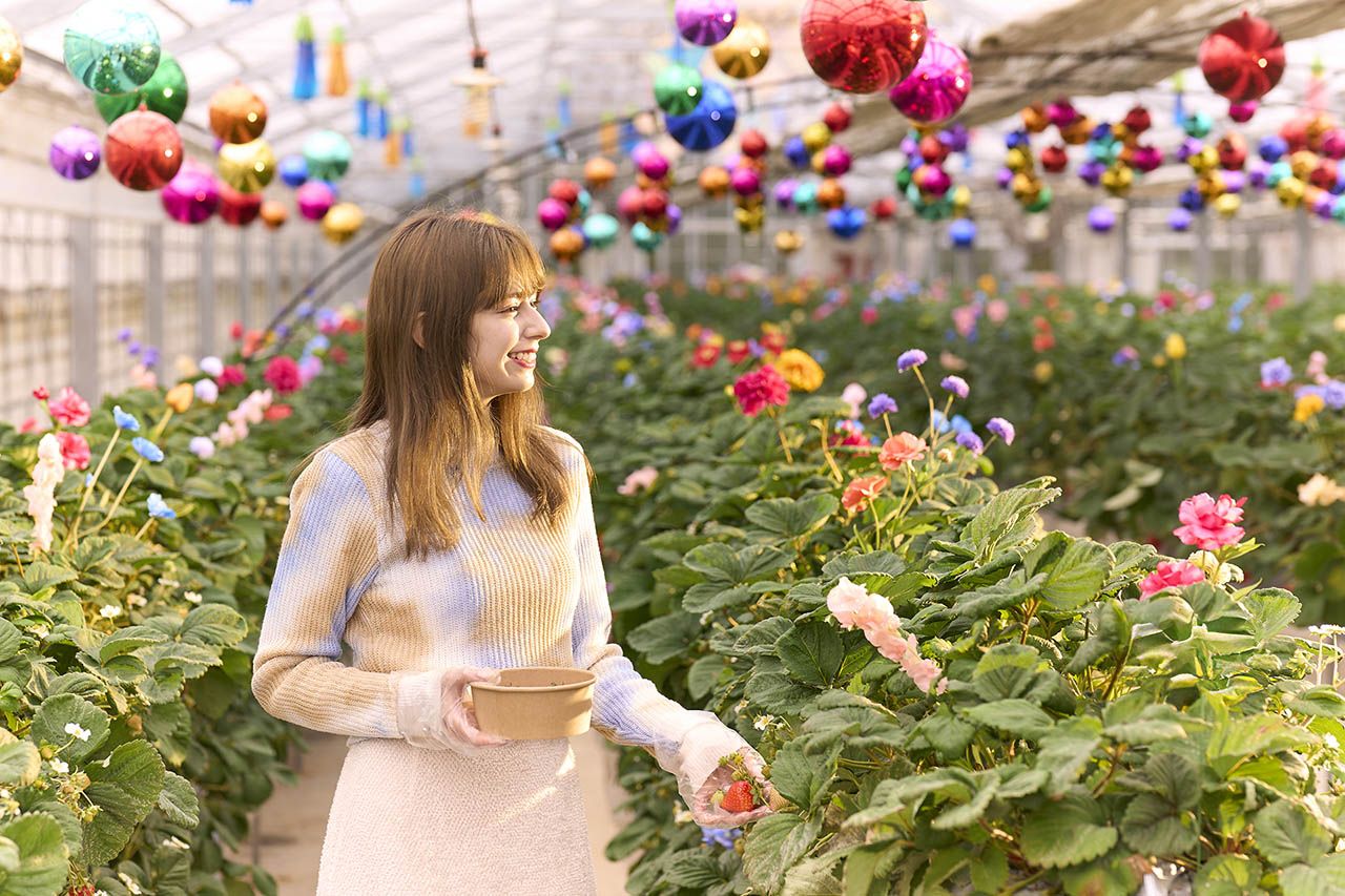 オズのストロベリーが楽しめるシークレットガーデン