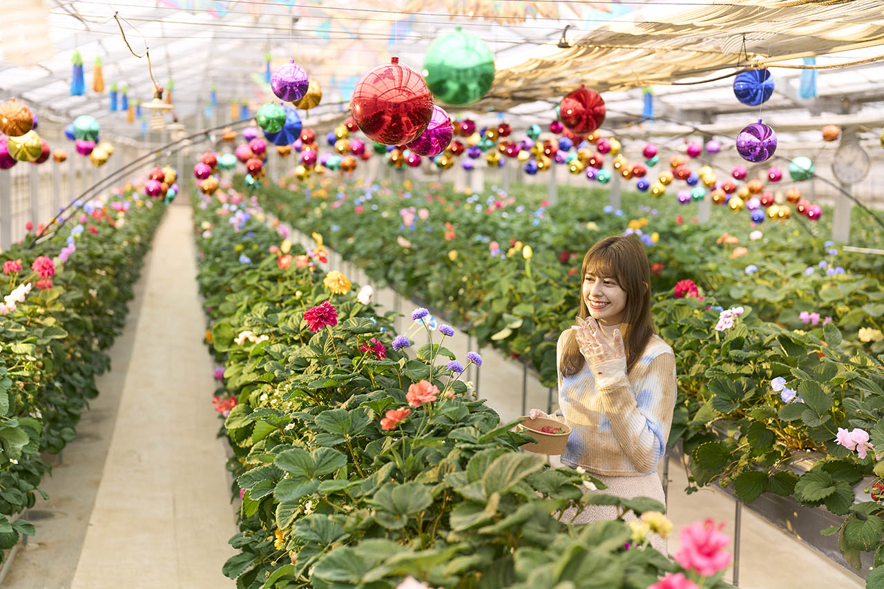 オズのストロベリーが楽しめるシークレットガーデン