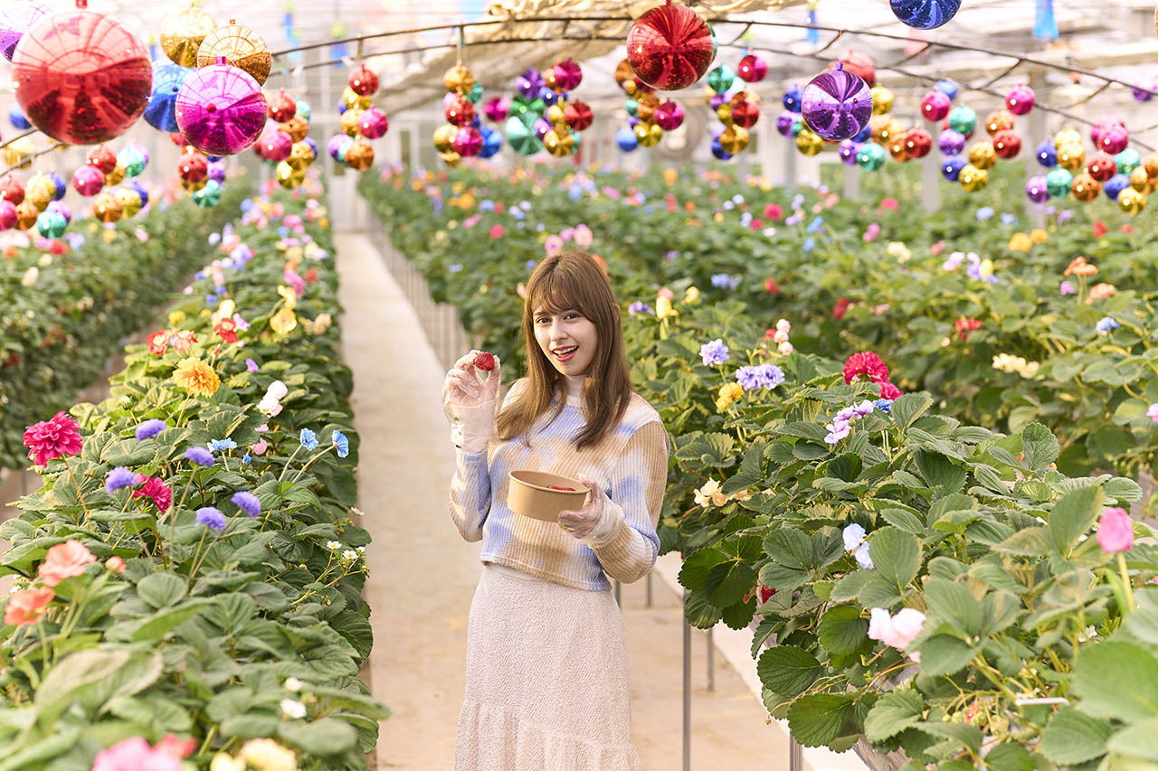 オズのストロベリーが楽しめるシークレットガーデン