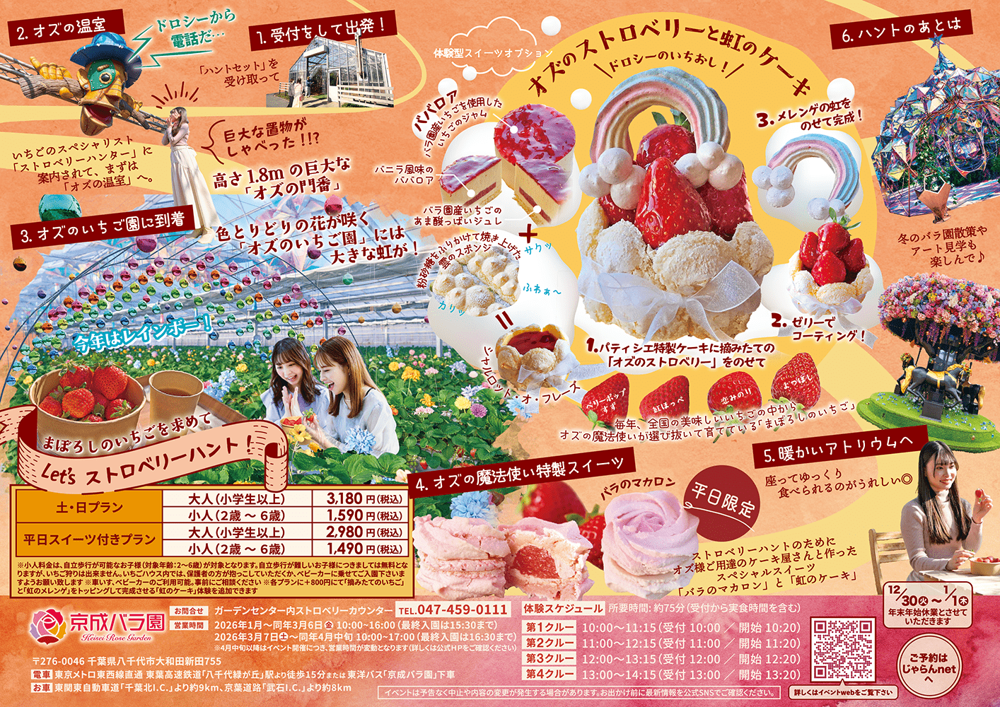 オズの国のストロベリーハント A4チラシ裏面｜京成バラ園