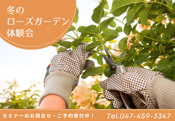 冬のローズガーデン体験会