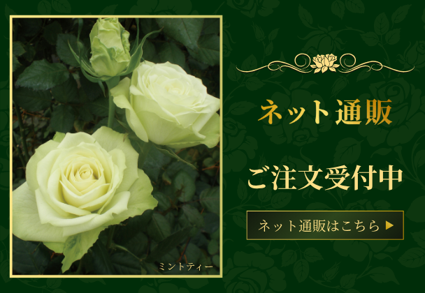 京成バラ園芸ネット通販