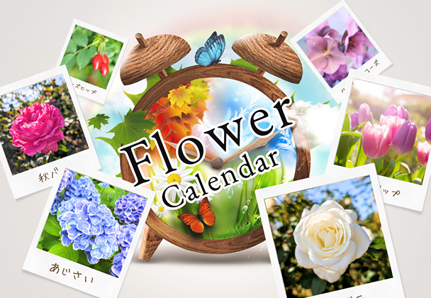 花カレンダー